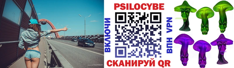 Псилоцибиновые грибы Psilocybine cubensis Чёрмоз