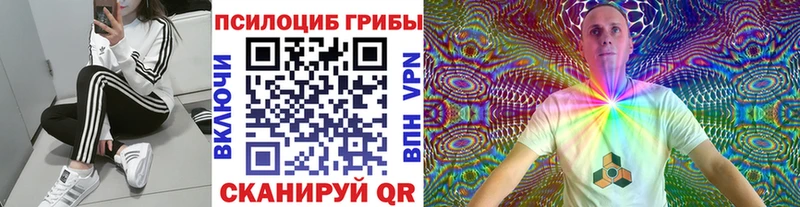 Галлюциногенные грибы Psilocybe  закладка  Чёрмоз 